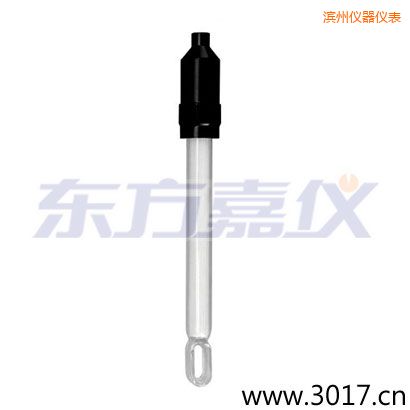 濱州玻璃外殼無溫補兩線電導率電極